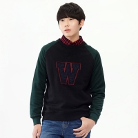 唐狮2014秋新款正品卫衣 男圆领贴布绣...